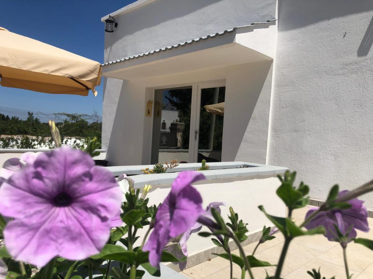 Casa Vacanza I Cedri Martina Franca Dış mekan fotoğraf